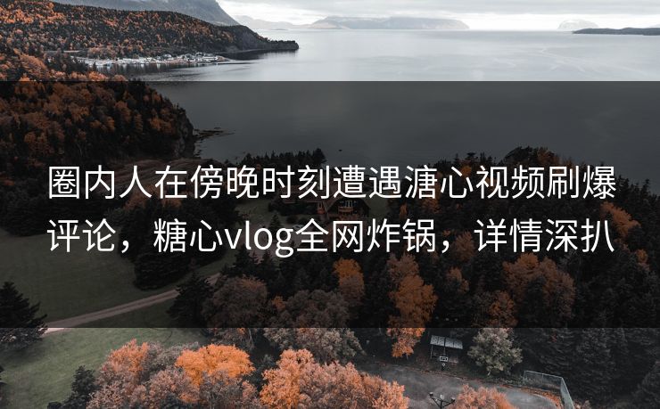 圈内人在傍晚时刻遭遇溏心视频刷爆评论，糖心vlog全网炸锅，详情深扒