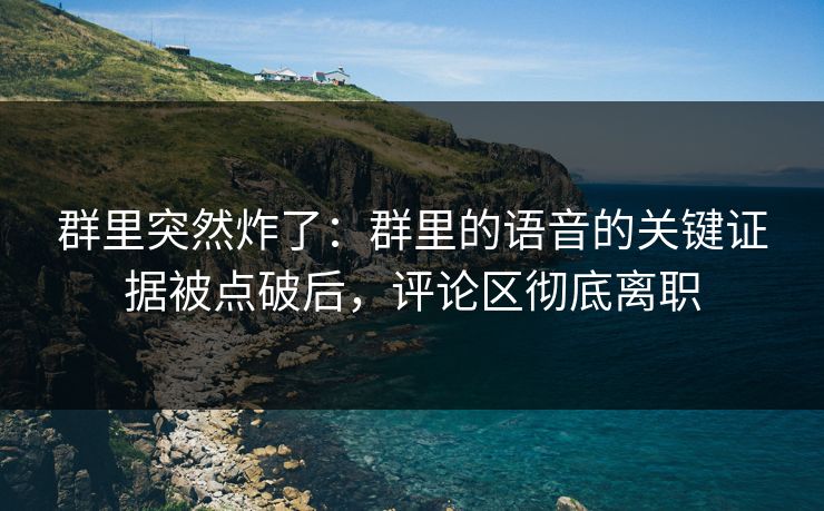群里突然炸了：群里的语音的关键证据被点破后，评论区彻底离职